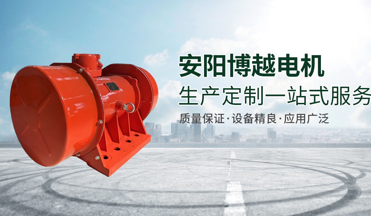 防爆振动电机,矿用振动电机,立式防爆振动电机